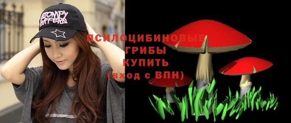 хмурый Абинск